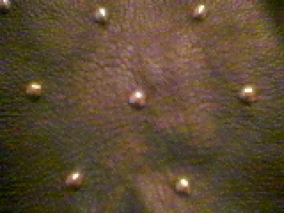 Armure de Cuir - Close Up.jpg